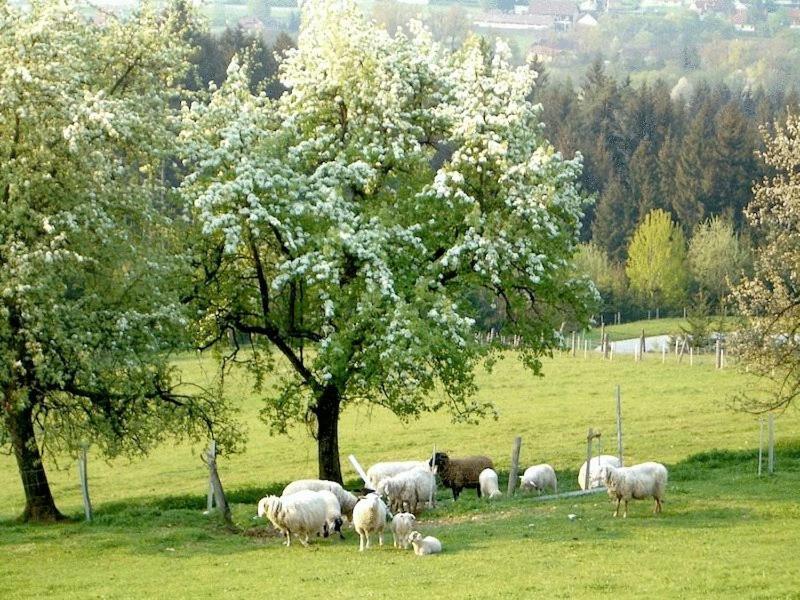 Ferienhaus Huber Bleiburg Dış mekan fotoğraf