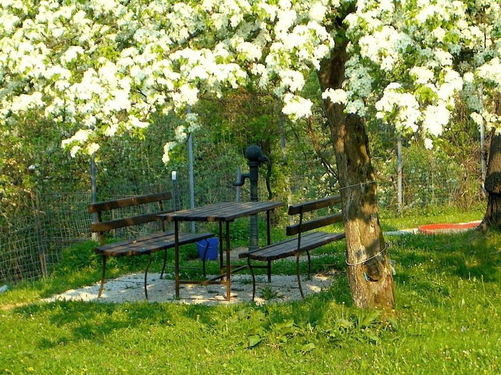 Ferienhaus Huber Bleiburg Dış mekan fotoğraf